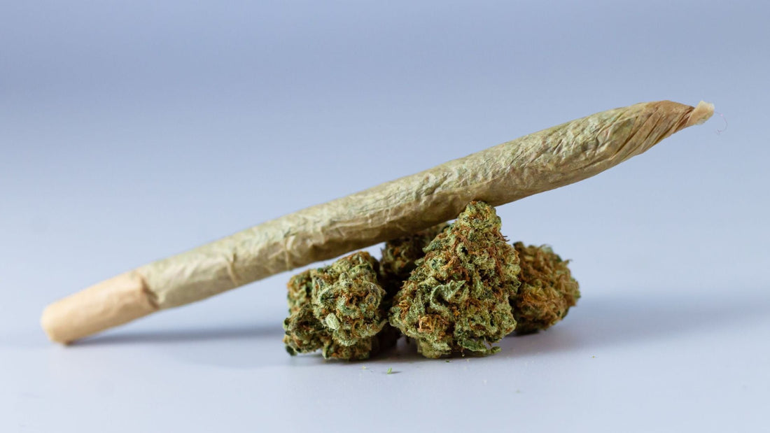 The Ultimate Guide to Storing Cannabis: How to Keep Your Flower Fresh Longer