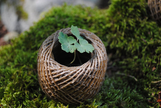 Advantages to Using Hemp Wick to Light Your Next Bowl
