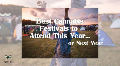 Best Cannabis Festivals to Attend This Year... or Next Year