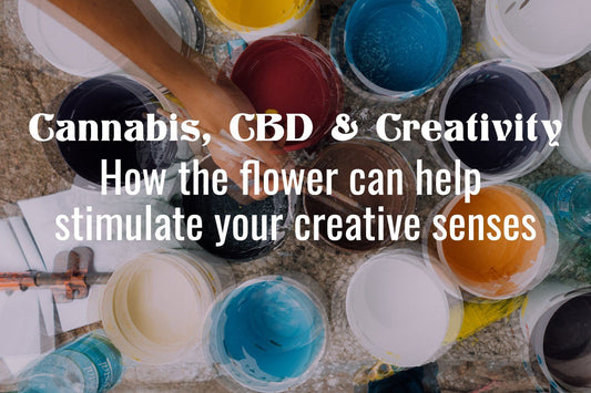 Cannabis, CBD, and Creativity: How the Flower Can Help Stimulate Your Creative Senses