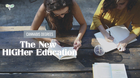 Cannabis Degrees: The new HIGHer Education