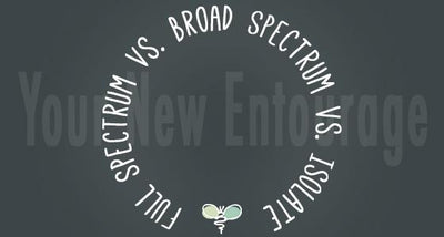 Full Spectrum vs. Broad Spectrum vs. Isolate - Your New Entourage