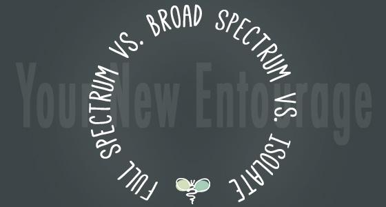 Full Spectrum vs. Broad Spectrum vs. Isolate - Your New Entourage