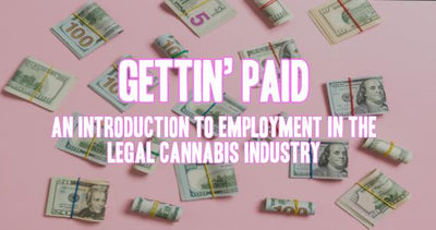 Gettin' Paid - An Introduction to Employment In The Legal Cannabis Industry