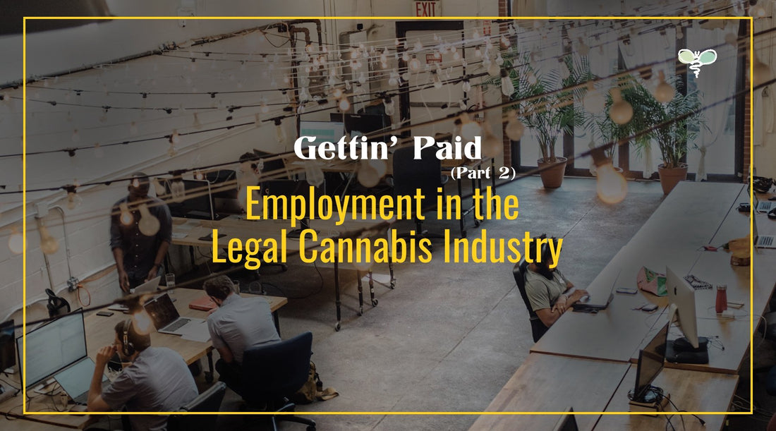 Getting’ Paid (Part 2) - Employment in the Legal Cannabis Industry