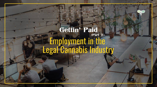 Getting’ Paid (Part 2) - Employment in the Legal Cannabis Industry
