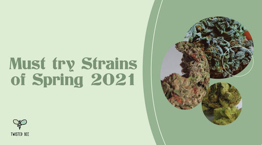 Must Try Strains of Spring 2021