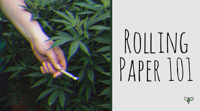 Rolling Paper 101