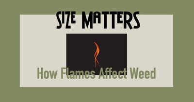 Size Matters: How Flames Affect Weed