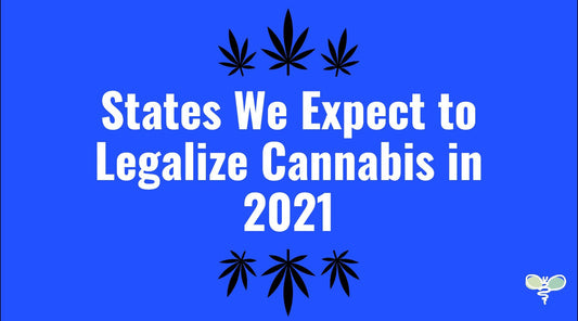 States We Expect to Legalize Cannabis in 2021