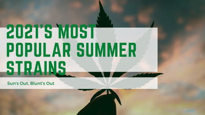 Sun’s Out, Blunt’s Out - 2021’s Most Popular Summer Strains