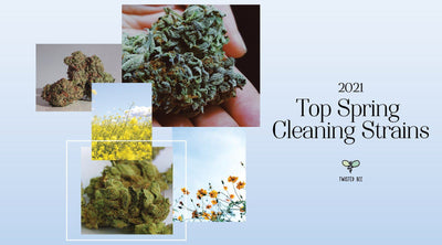 Top Spring Cleaning Strains 2021