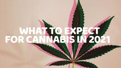 What to Expect for Cannabis in 2021