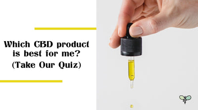 Which CBD Product is Best for Me?